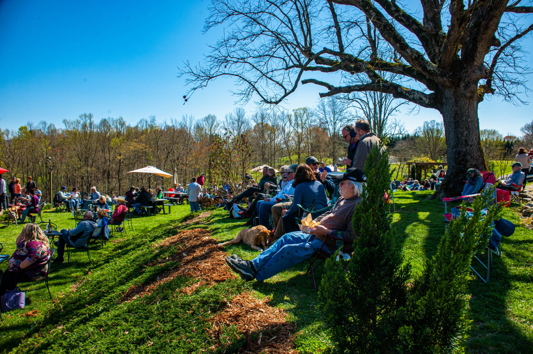 20210403-LEE_1812-Edit.jpg